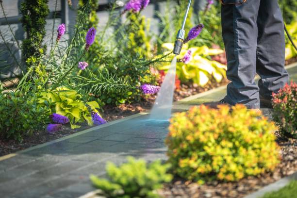 Best Winterizing Services  in Rosharon, TX